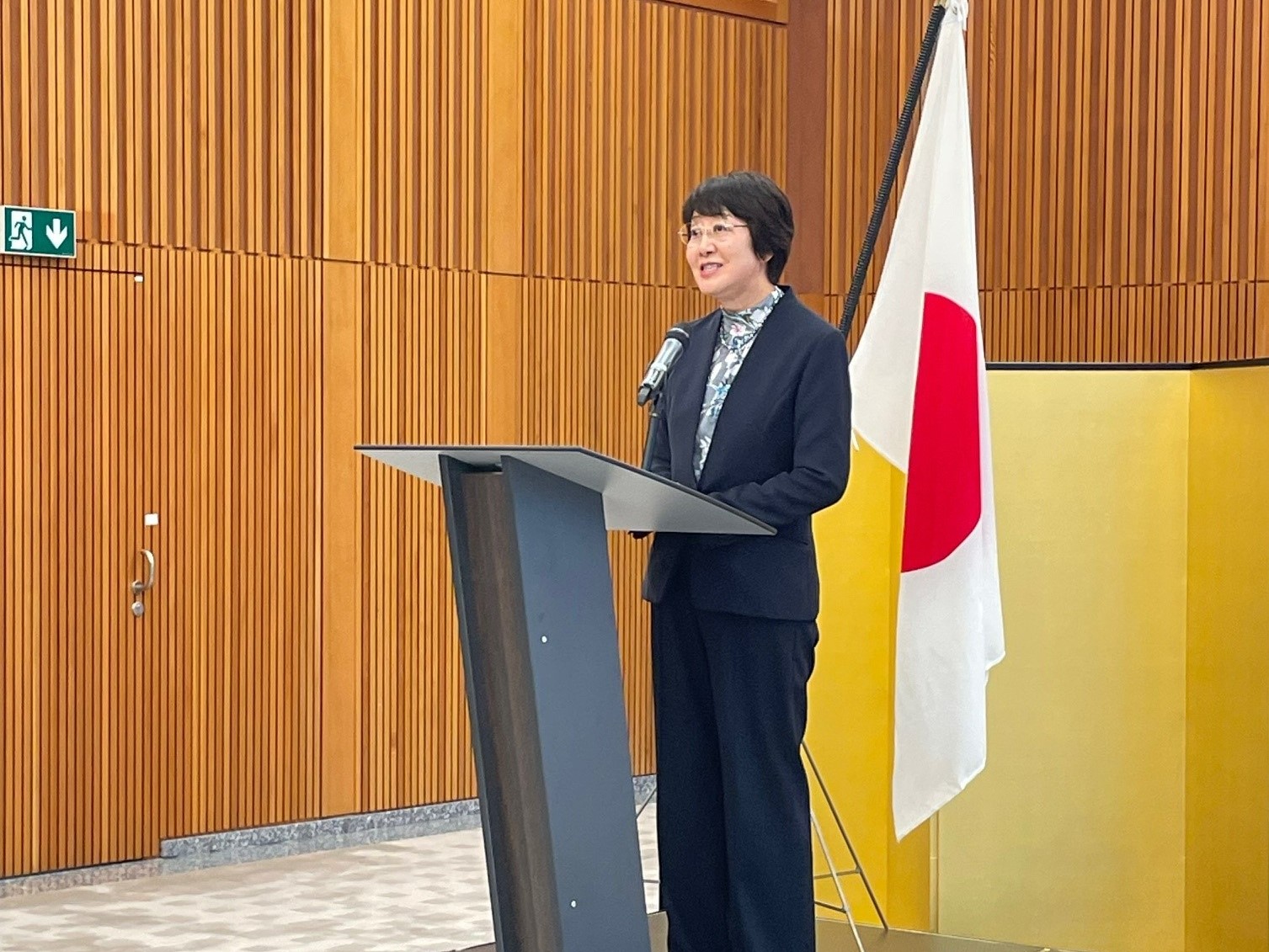 軍縮・不拡散の諸相 (日本軍縮学会設立10周年記念) | 日本軍縮